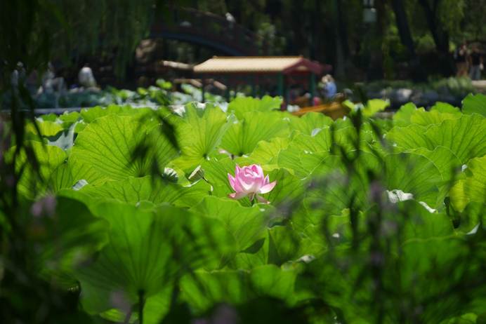 18eaf34cb1ad1c5095023d69156d4a6