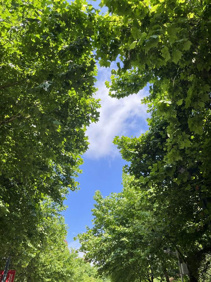 4b6bacd590740b9d6056c82cf15bae1