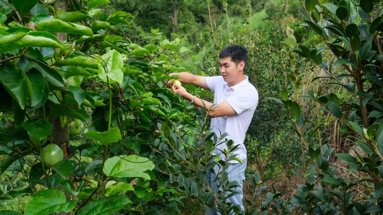 微信图片_20240825234201